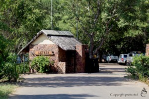 Letaba_1D_2693