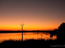 Shipandani hide & Letaba, March 2017