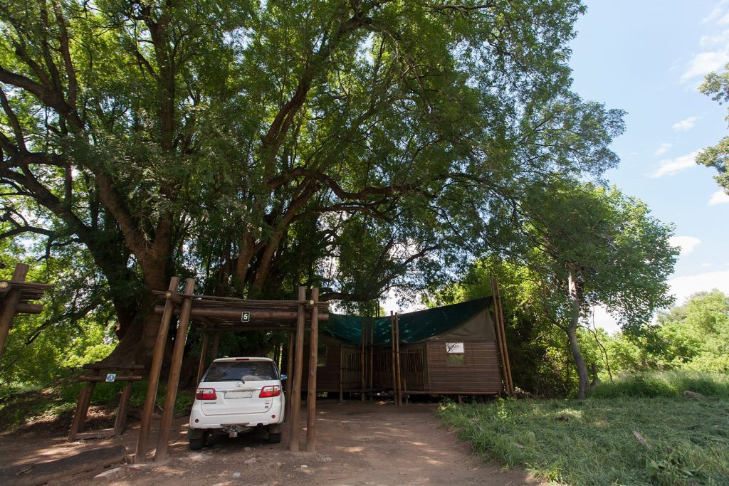 Our tent at Limpopo Forest Tented Camp