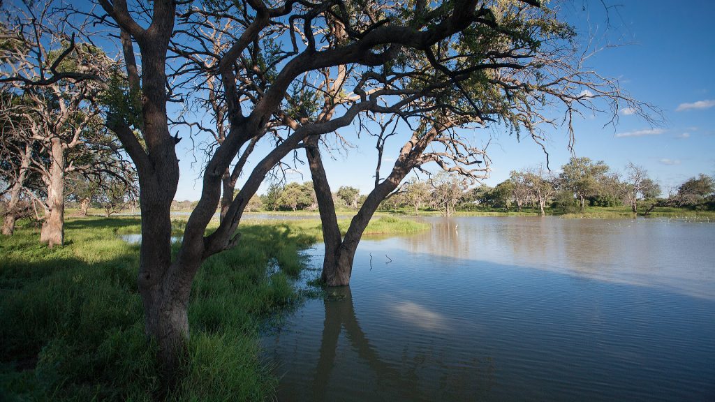 View from the Maloutswa hide, towards the left