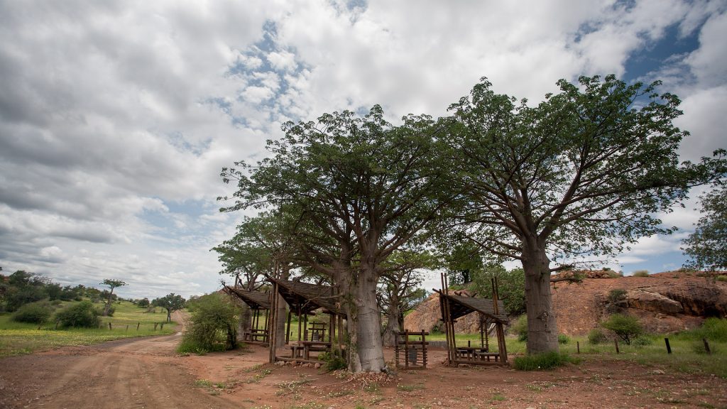 Picnic site